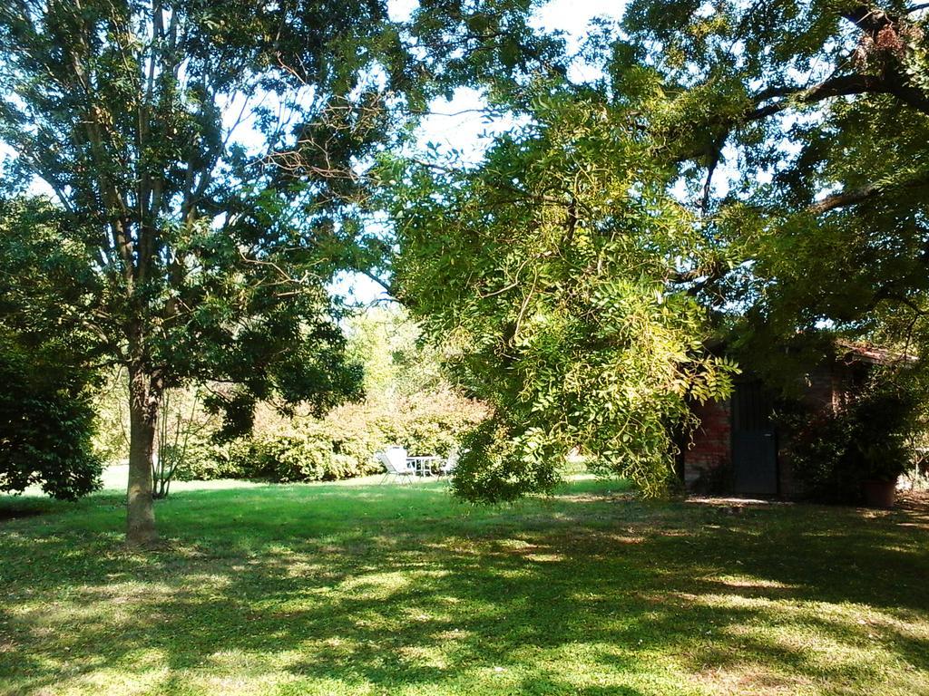 Ca Morari Bed and Breakfast Argenta Exteriör bild