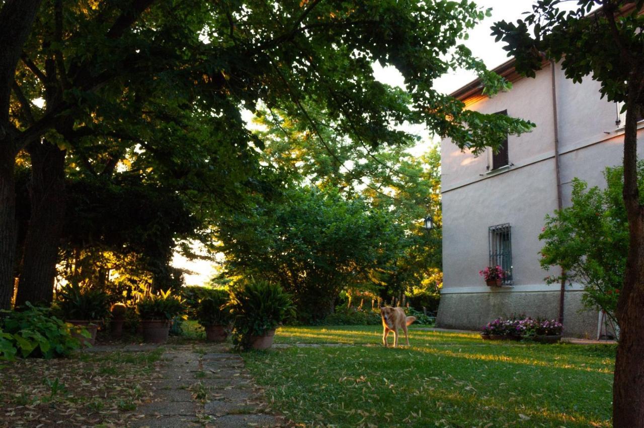 Ca Morari Bed and Breakfast Argenta Exteriör bild